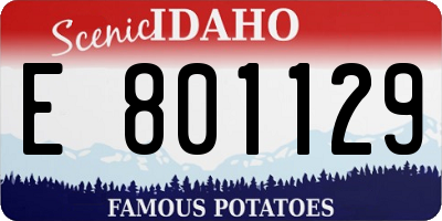 ID license plate E801129