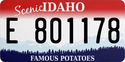 ID license plate E801178
