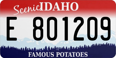 ID license plate E801209