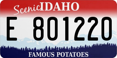 ID license plate E801220