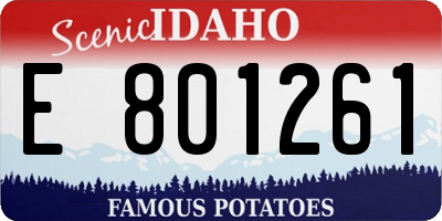 ID license plate E801261