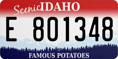 ID license plate E801348