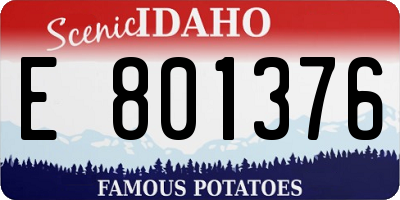ID license plate E801376