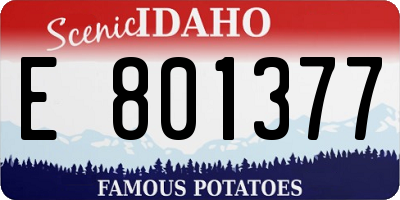 ID license plate E801377