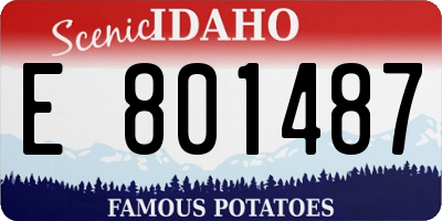 ID license plate E801487