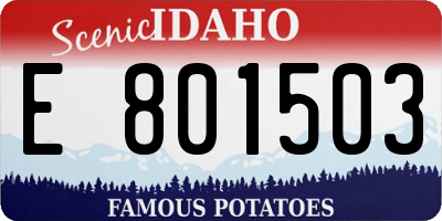 ID license plate E801503