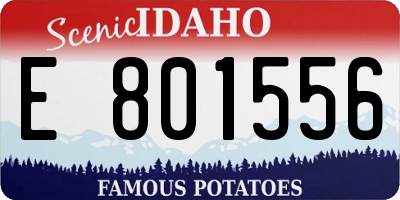 ID license plate E801556