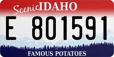 ID license plate E801591