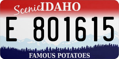 ID license plate E801615