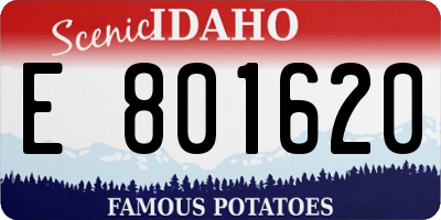 ID license plate E801620