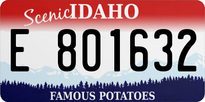 ID license plate E801632