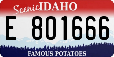 ID license plate E801666