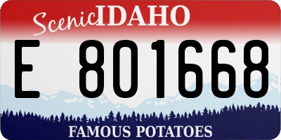 ID license plate E801668
