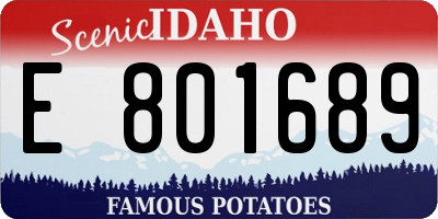 ID license plate E801689