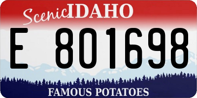 ID license plate E801698