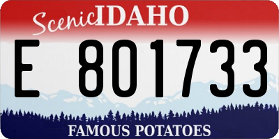 ID license plate E801733