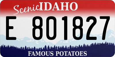 ID license plate E801827