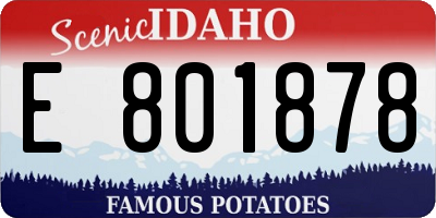ID license plate E801878