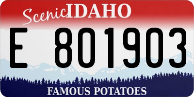 ID license plate E801903