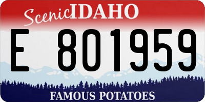 ID license plate E801959