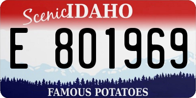 ID license plate E801969