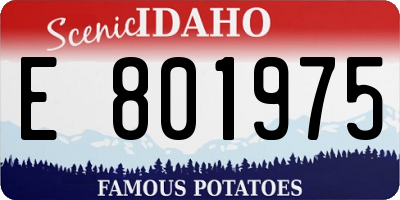 ID license plate E801975