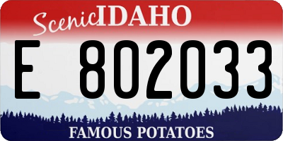 ID license plate E802033