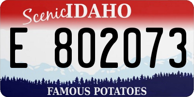 ID license plate E802073