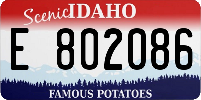 ID license plate E802086