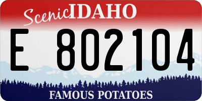 ID license plate E802104