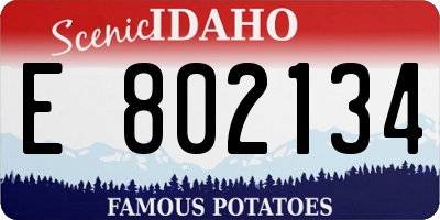 ID license plate E802134