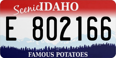 ID license plate E802166