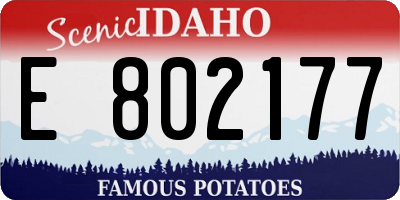 ID license plate E802177