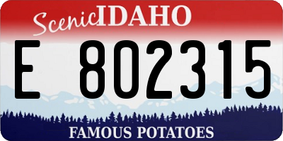 ID license plate E802315