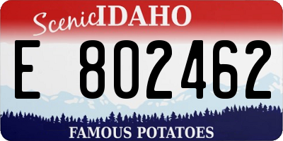 ID license plate E802462
