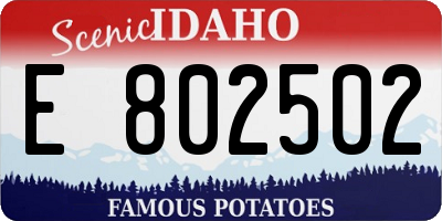 ID license plate E802502