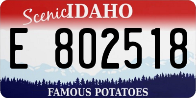 ID license plate E802518