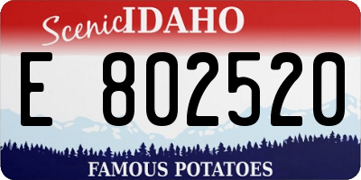 ID license plate E802520