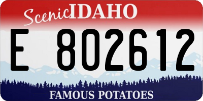 ID license plate E802612