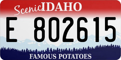 ID license plate E802615