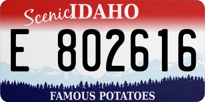 ID license plate E802616