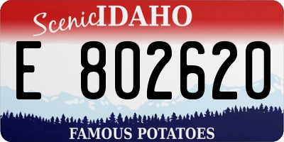 ID license plate E802620