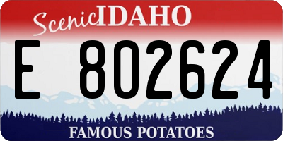 ID license plate E802624