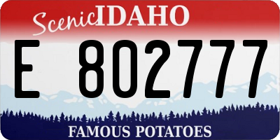 ID license plate E802777
