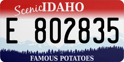 ID license plate E802835