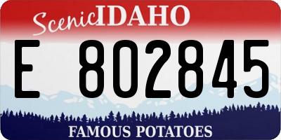 ID license plate E802845