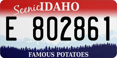 ID license plate E802861