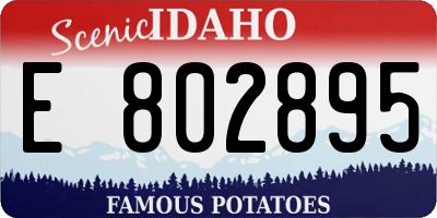 ID license plate E802895