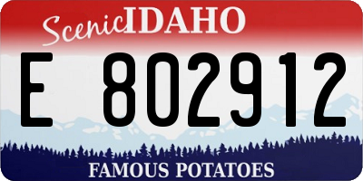 ID license plate E802912