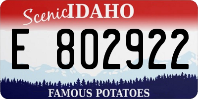 ID license plate E802922